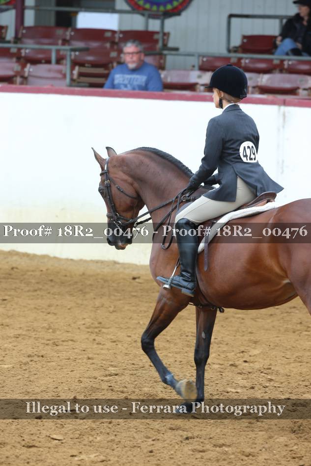 Proof 18R2_00476