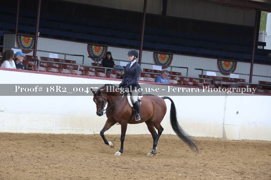 Proof 18R2_00477