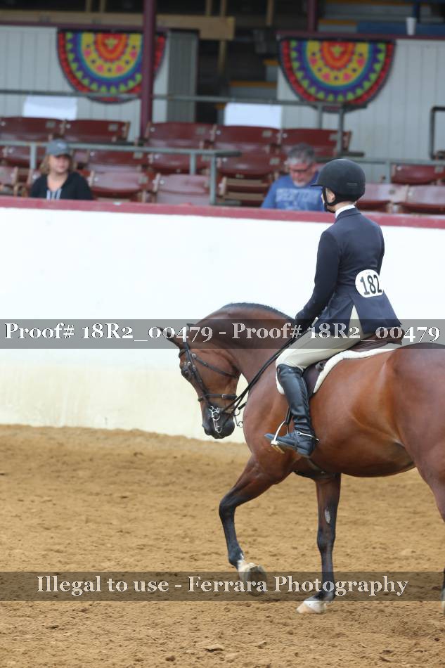 Proof 18R2_00479