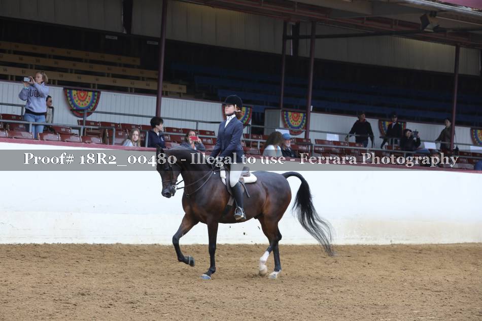 Proof 18R2_00480
