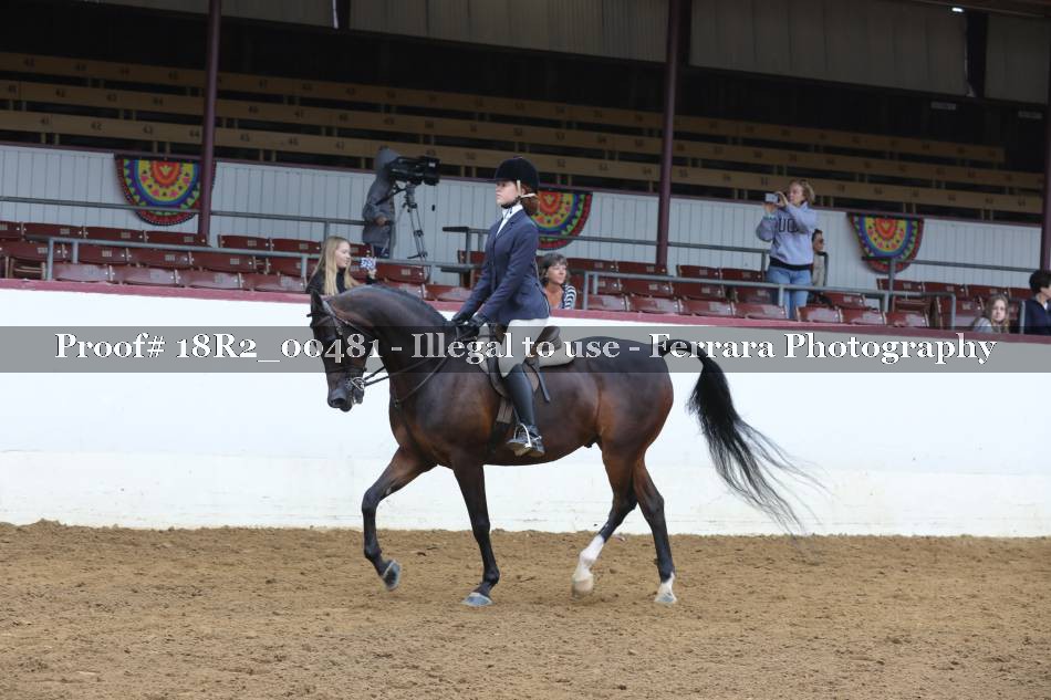 Proof 18R2_00481