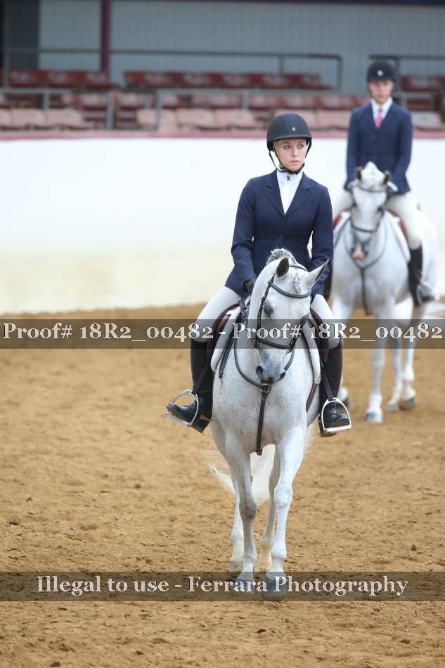 Proof 18R2_00482