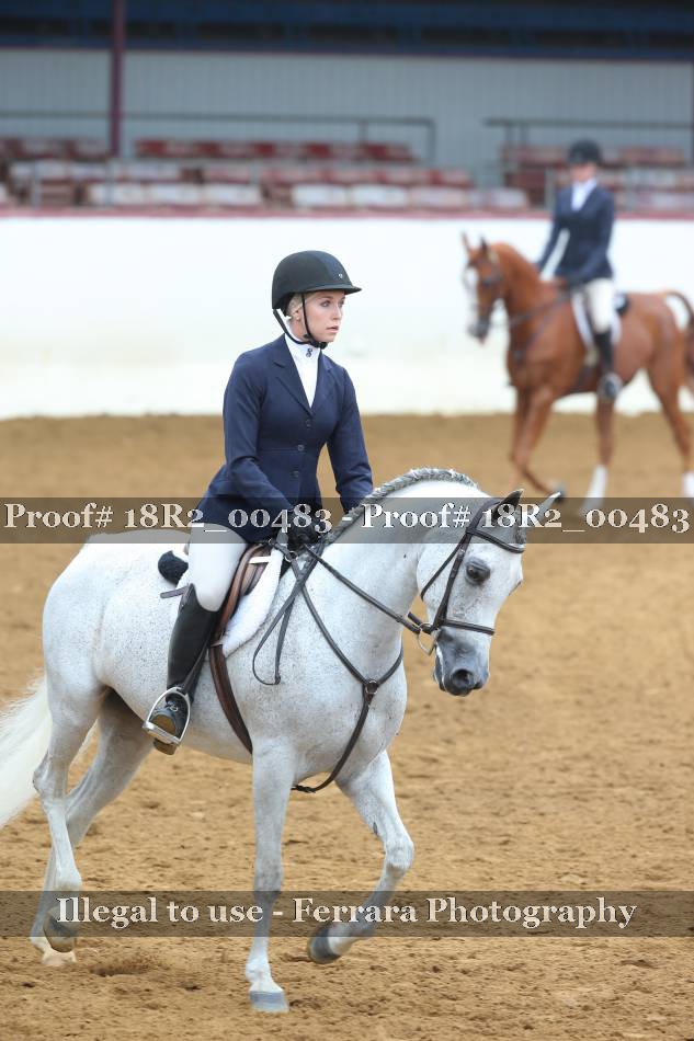 Proof 18R2_00483