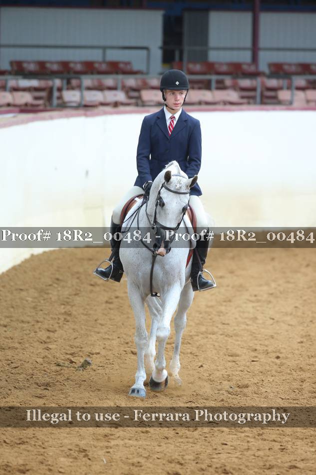 Proof 18R2_00484