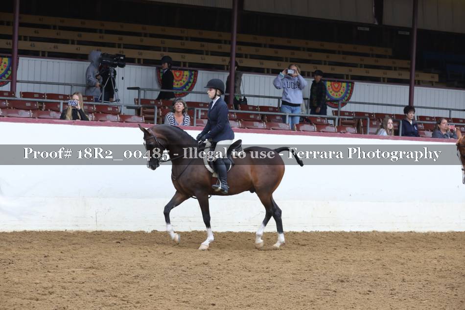 Proof 18R2_00485