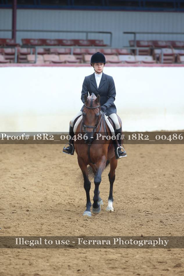 Proof 18R2_00486