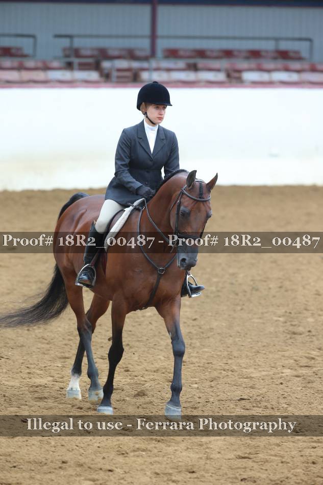 Proof 18R2_00487