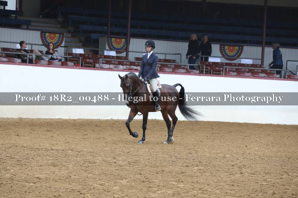 Proof 18R2_00488