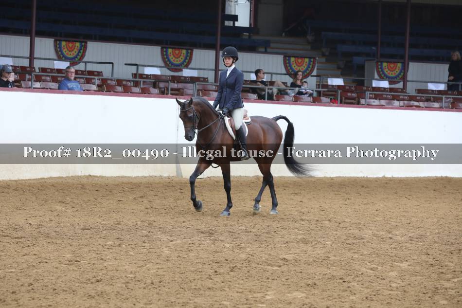Proof 18R2_00490
