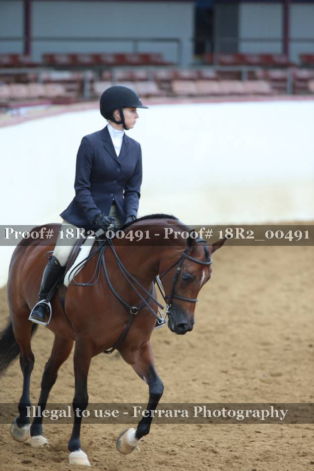 Proof 18R2_00491
