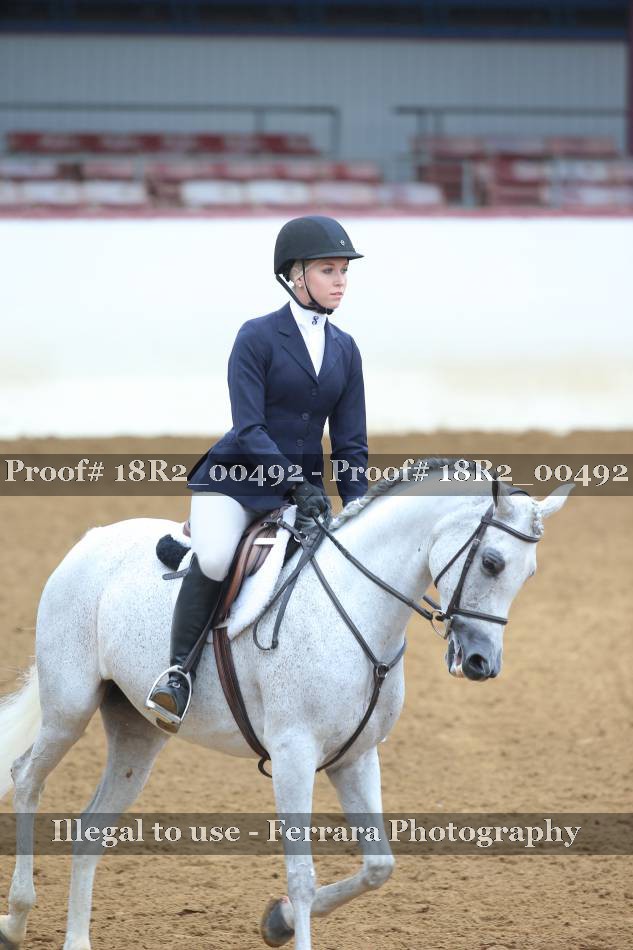 Proof 18R2_00492
