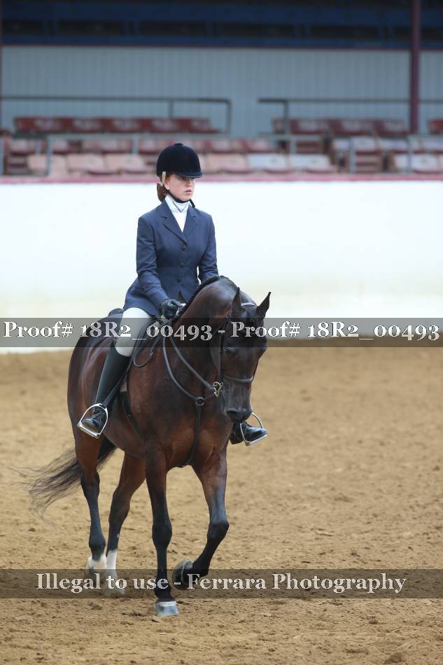 Proof 18R2_00493