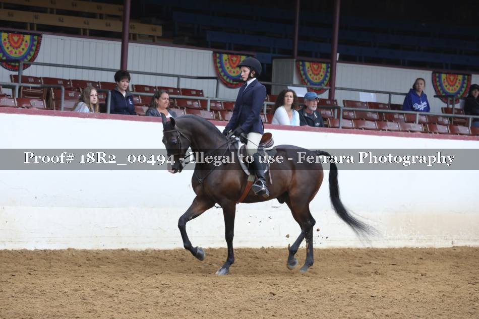Proof 18R2_00494