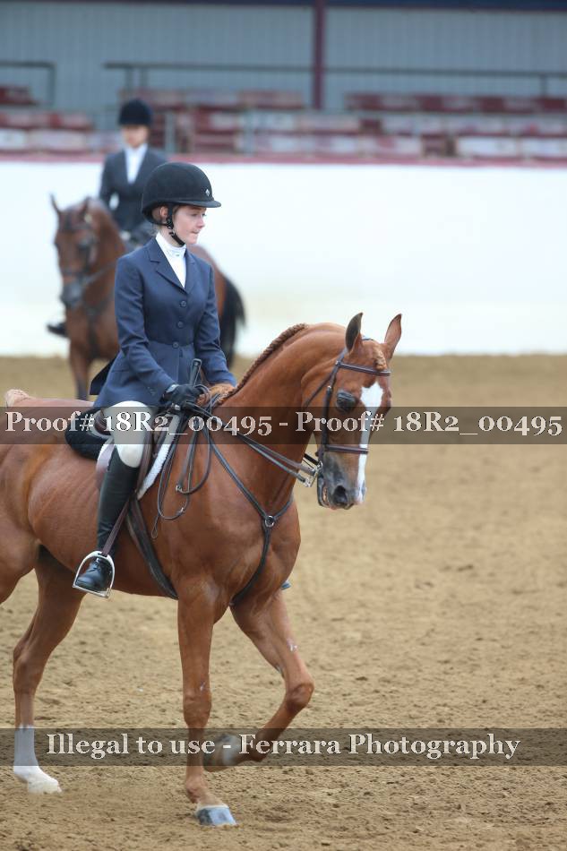 Proof 18R2_00495