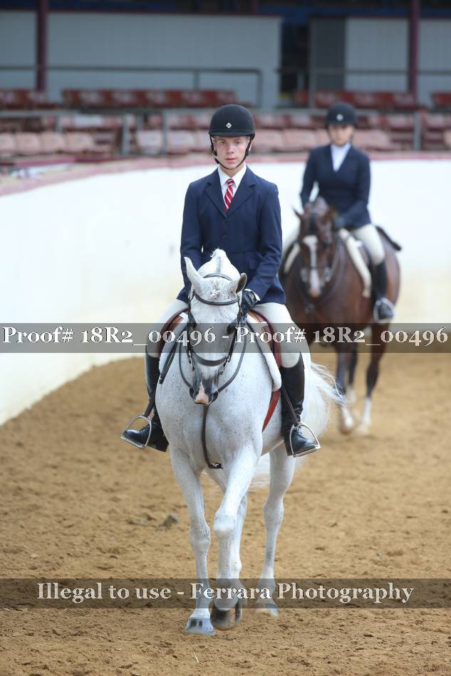 Proof 18R2_00496