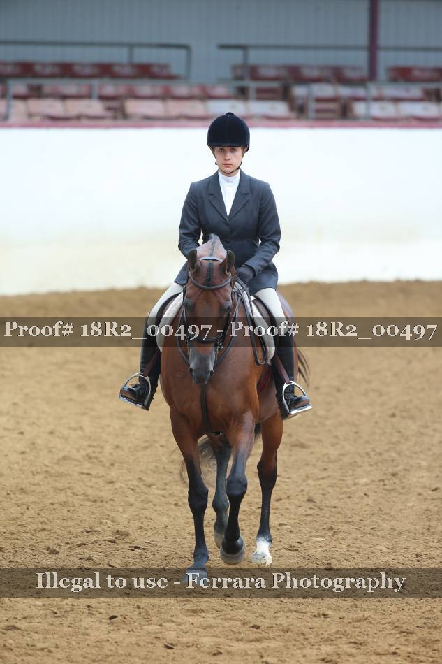 Proof 18R2_00497
