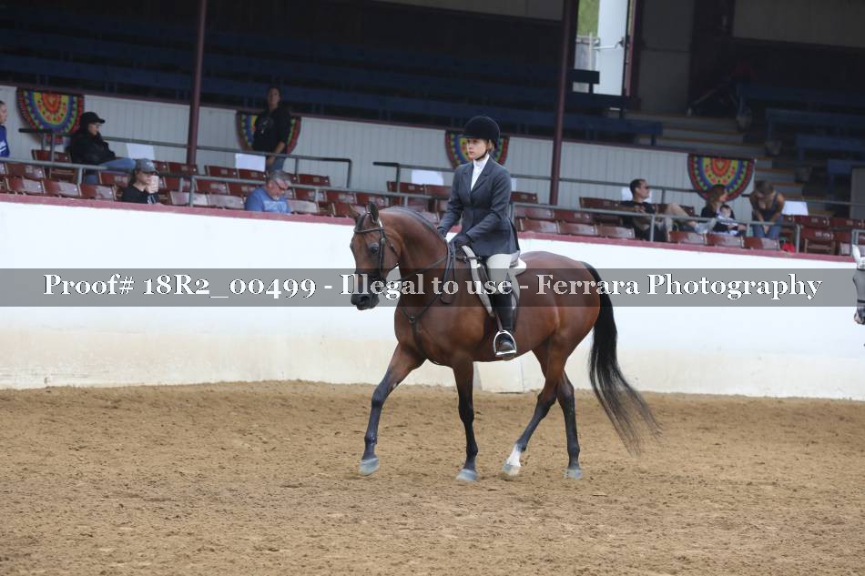 Proof 18R2_00499