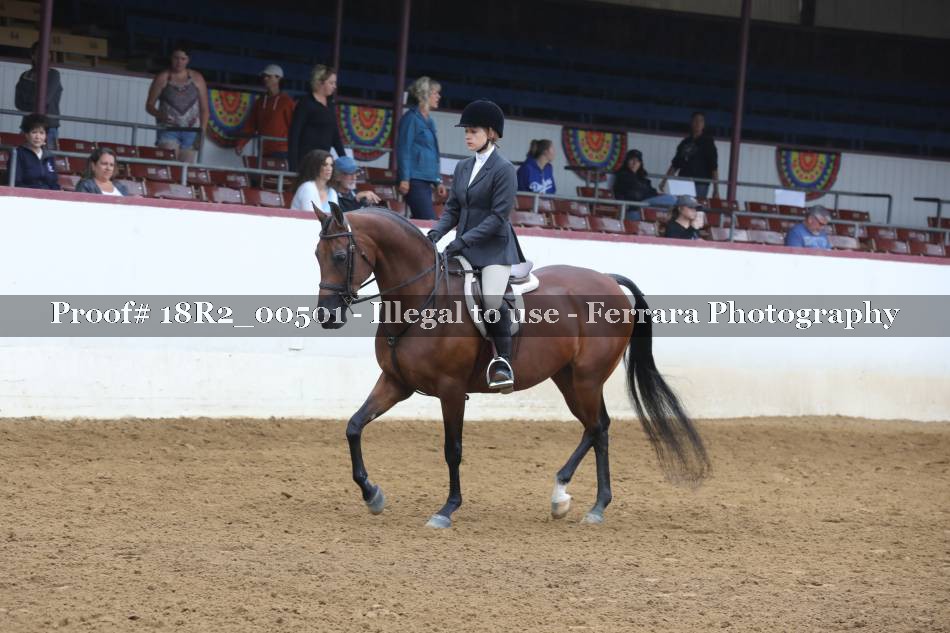 Proof 18R2_00501