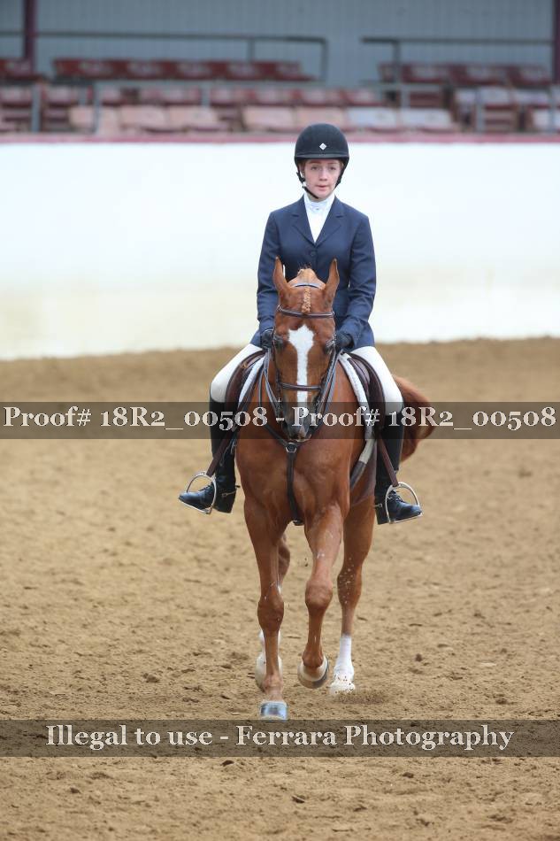 Proof 18R2_00508