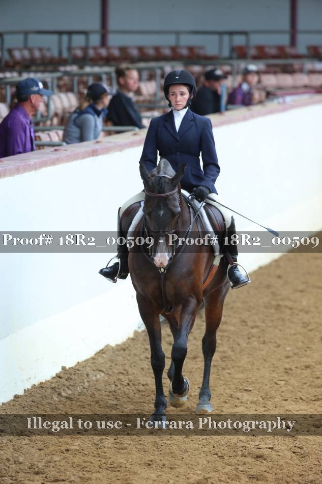 Proof 18R2_00509