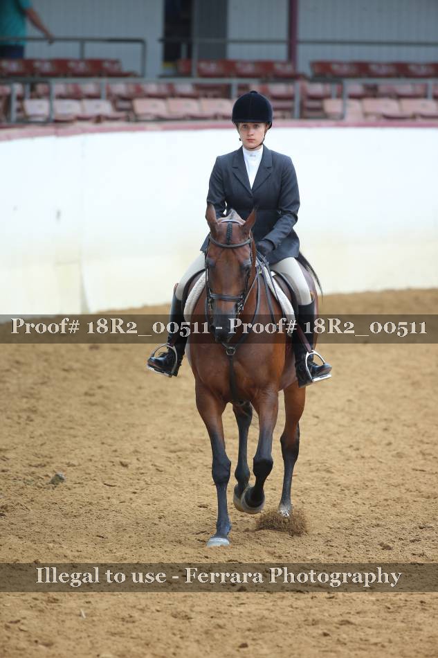 Proof 18R2_00511