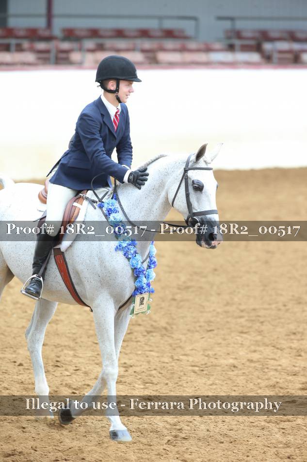 Proof 18R2_00517