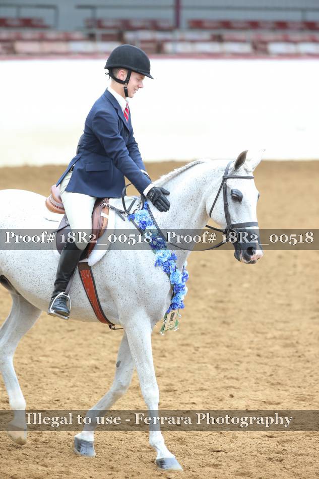Proof 18R2_00518