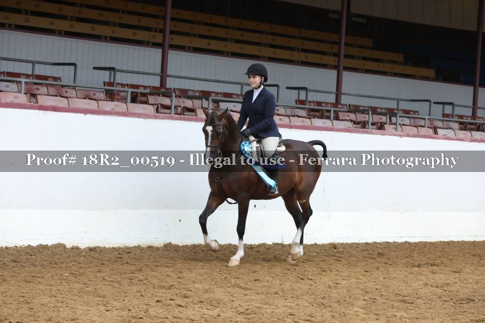 Proof 18R2_00519