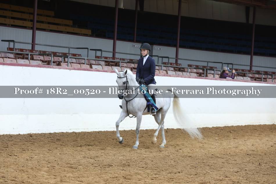 Proof 18R2_00520