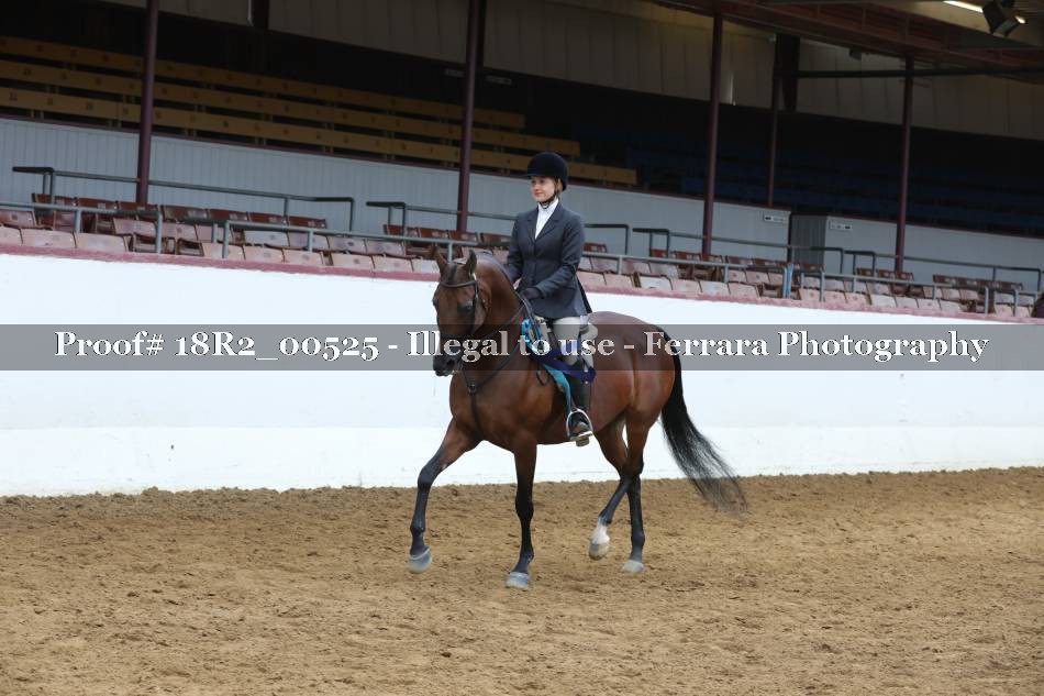 Proof 18R2_00525