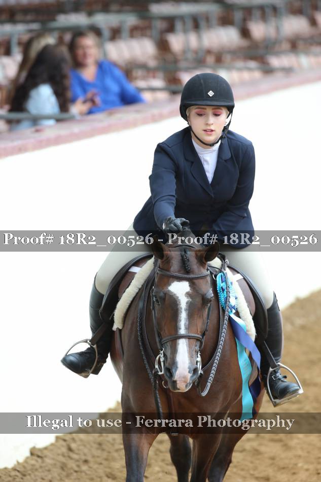 Proof 18R2_00526