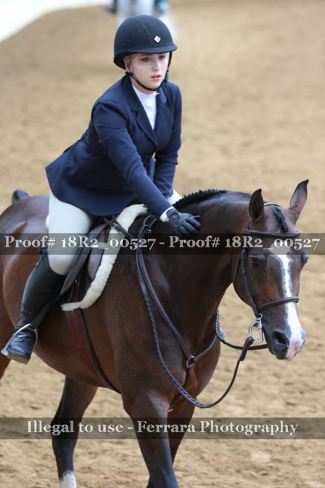 Proof 18R2_00527