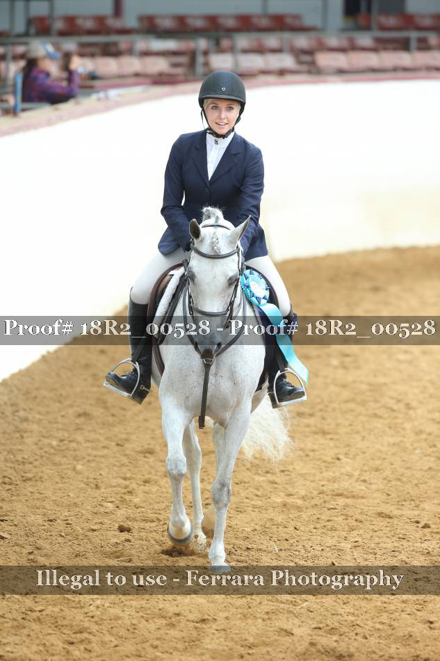 Proof 18R2_00528