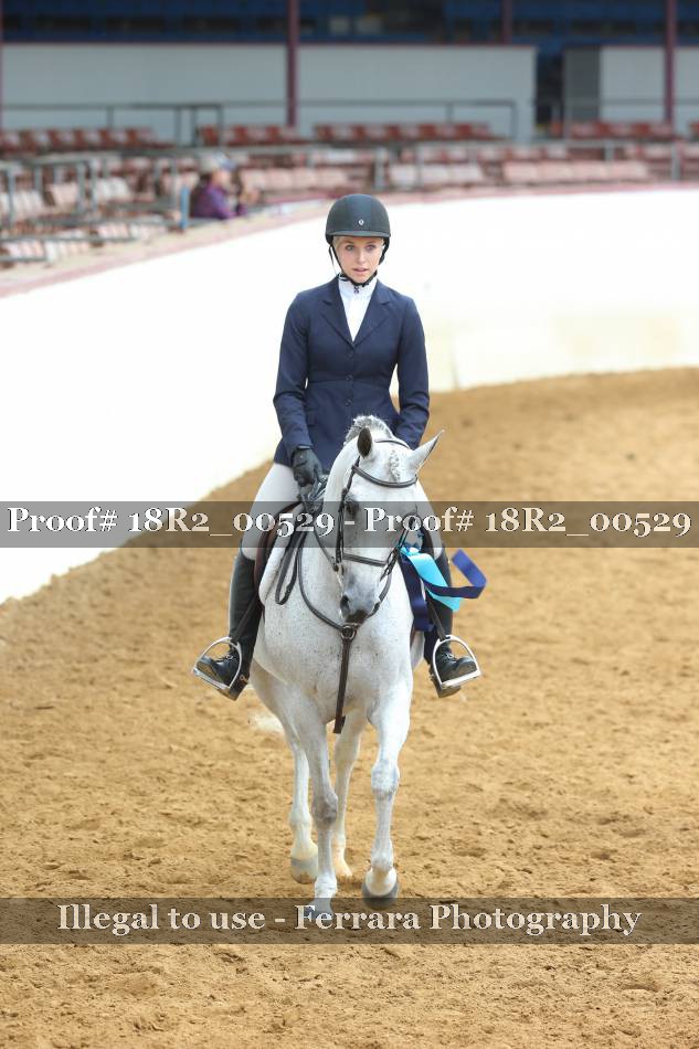 Proof 18R2_00529