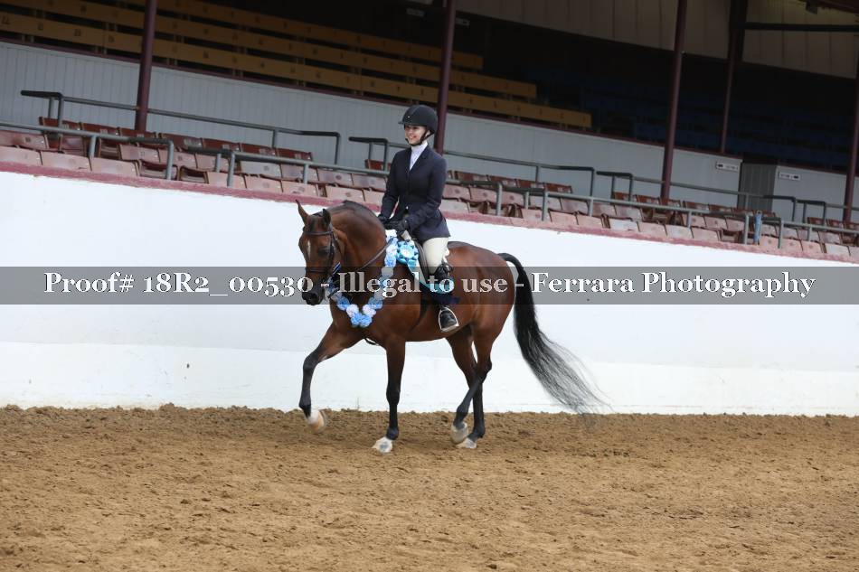 Proof 18R2_00530