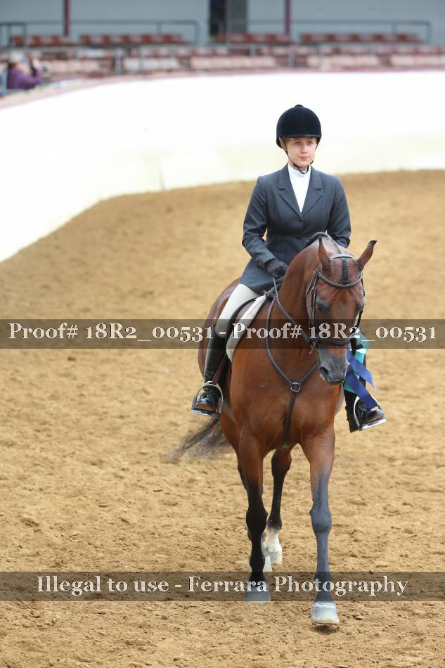 Proof 18R2_00531