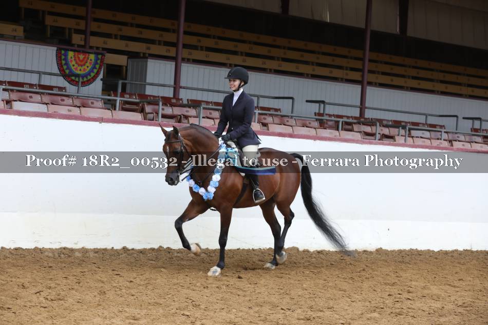 Proof 18R2_00532