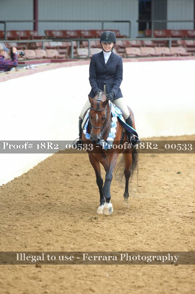 Proof 18R2_00533