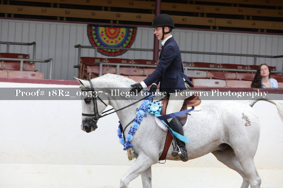 Proof 18R2_00537