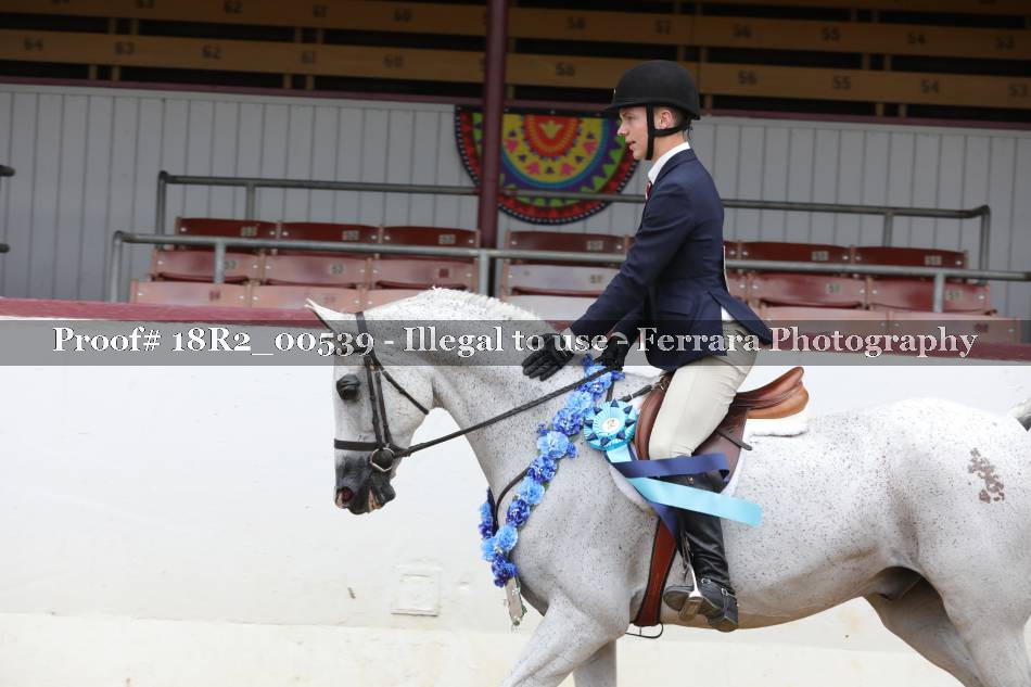 Proof 18R2_00539