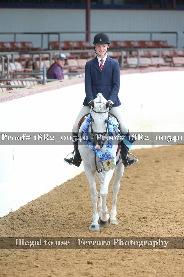 Proof 18R2_00540