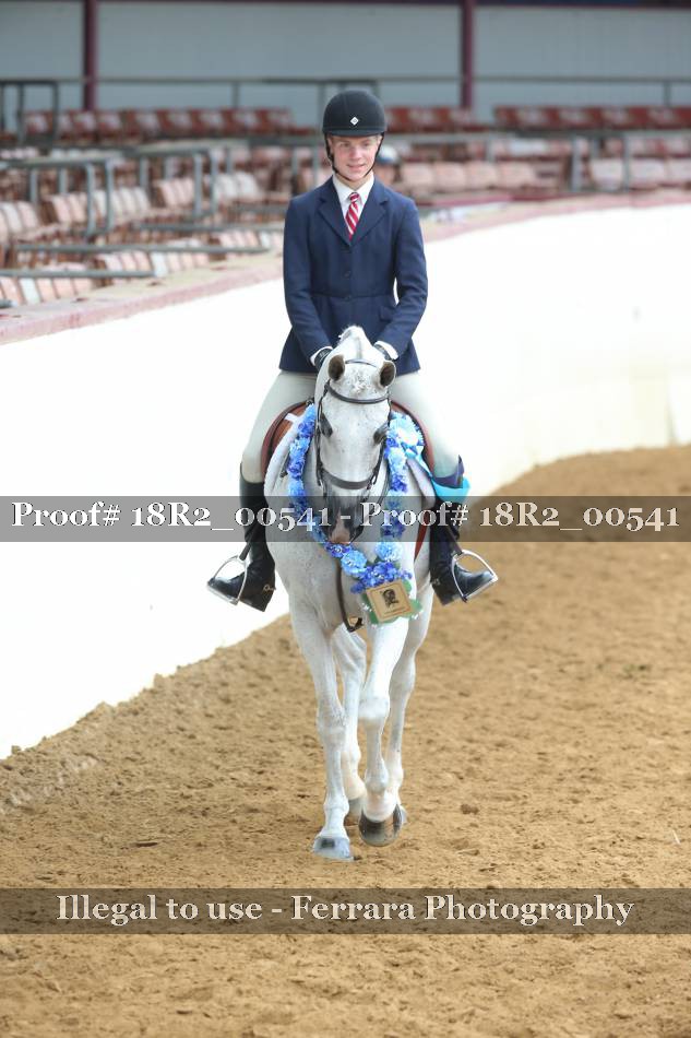Proof 18R2_00541