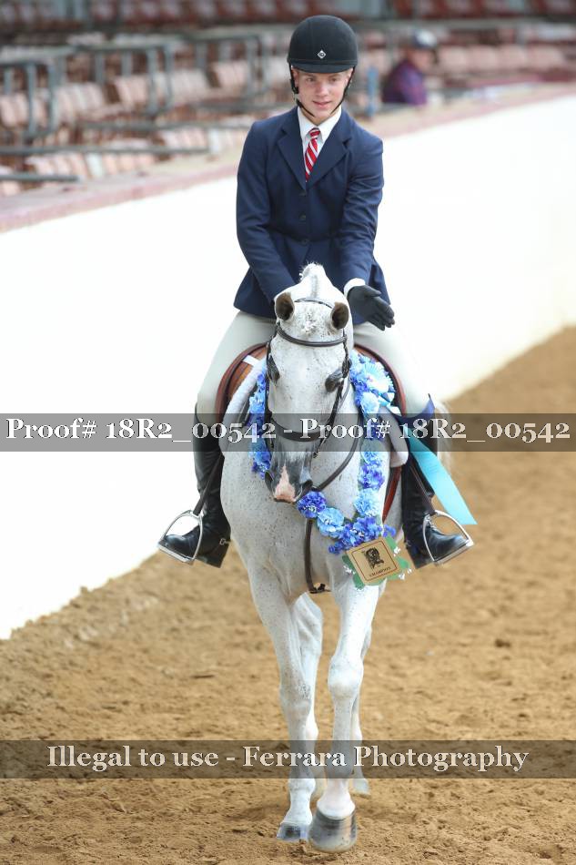 Proof 18R2_00542