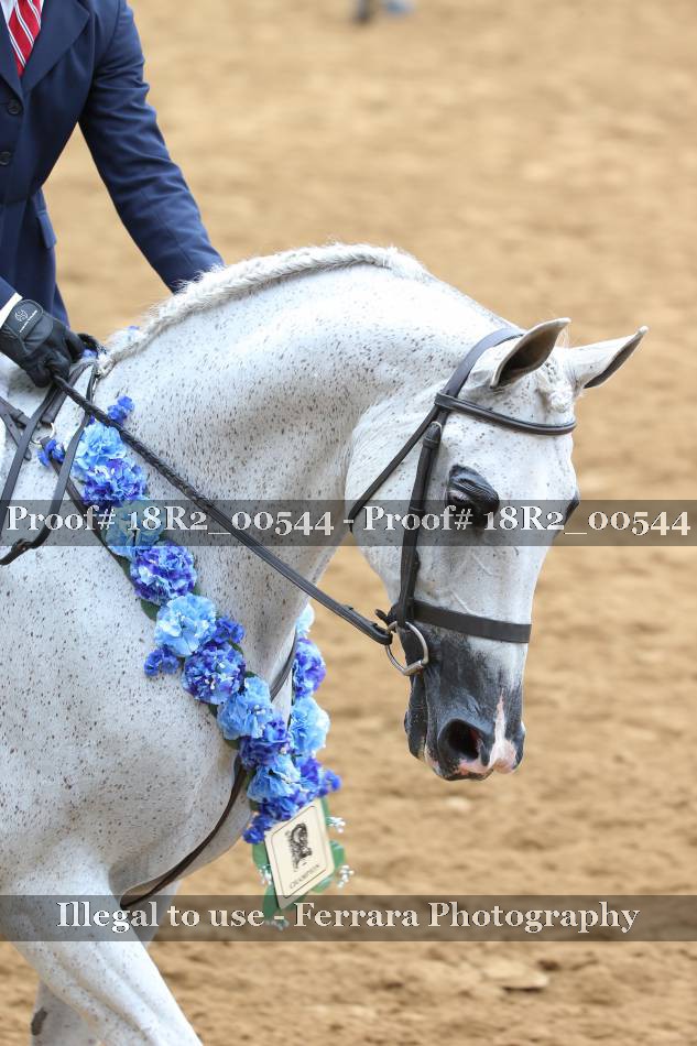 Proof 18R2_00544