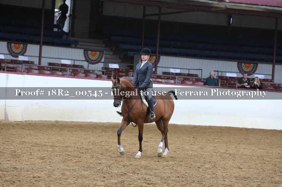 Proof 18R2_00545