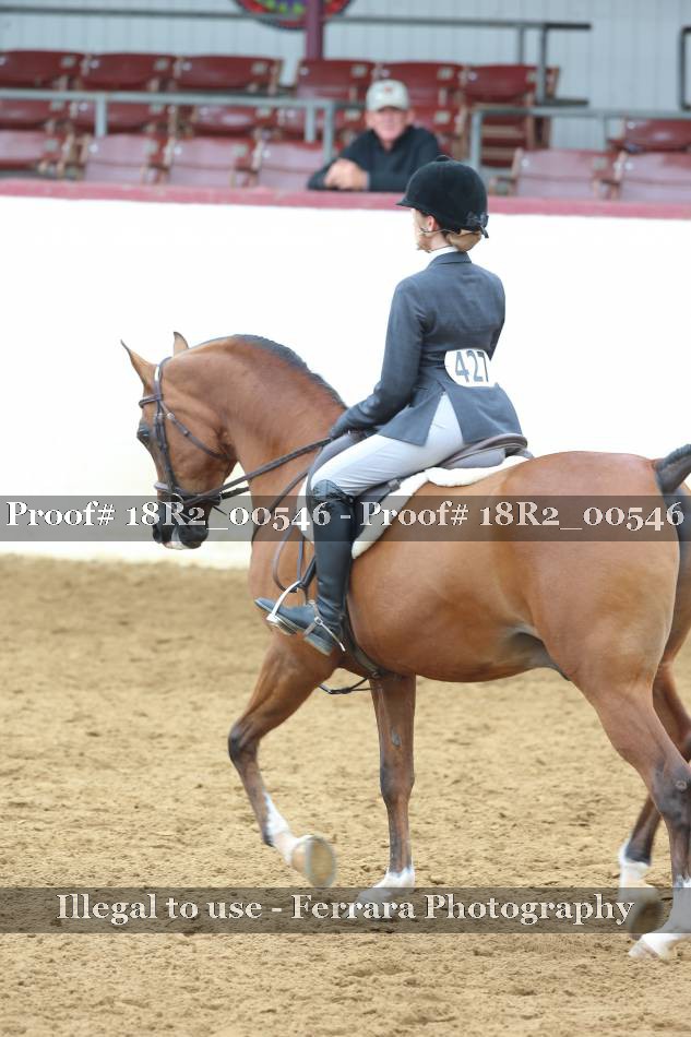 Proof 18R2_00546