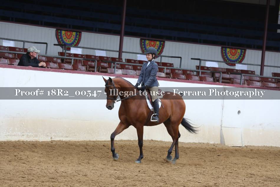 Proof 18R2_00547