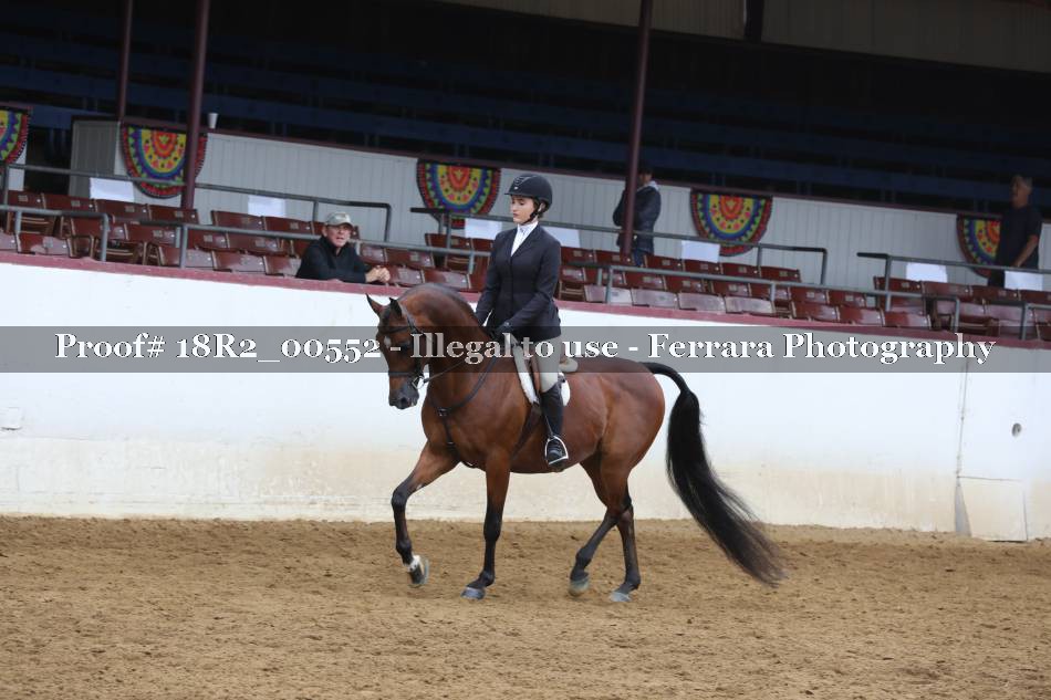 Proof 18R2_00552