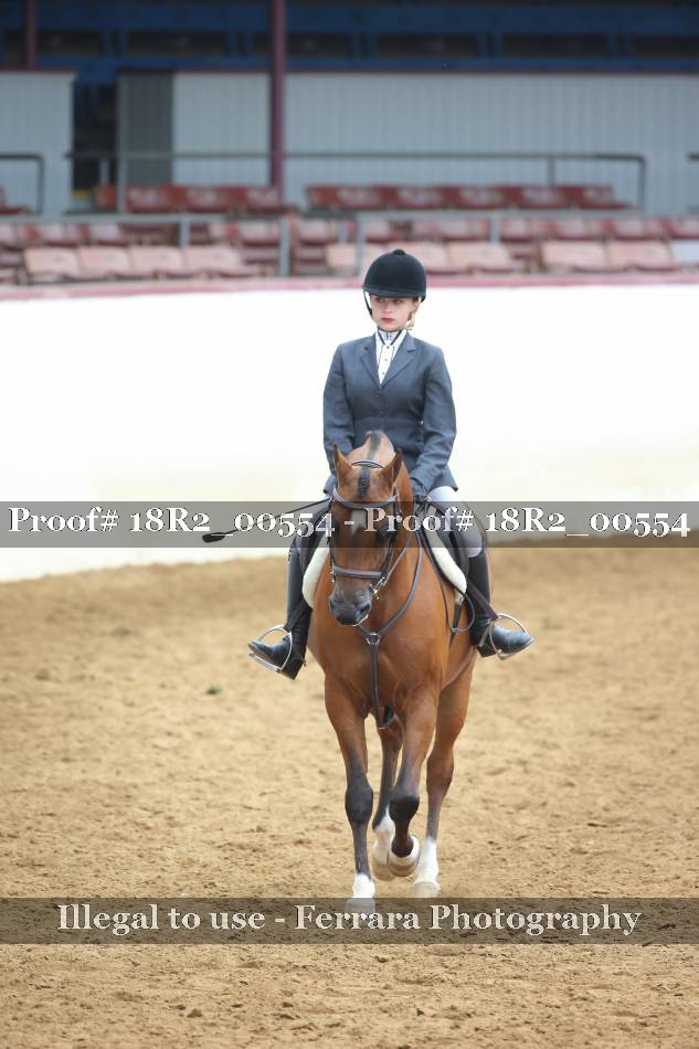 Proof 18R2_00554
