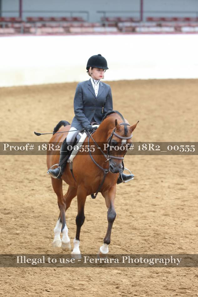 Proof 18R2_00555